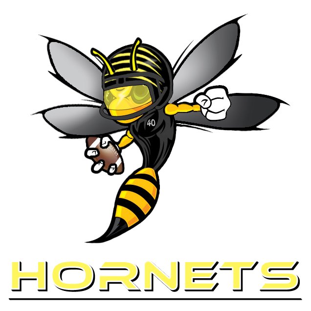 Hornets